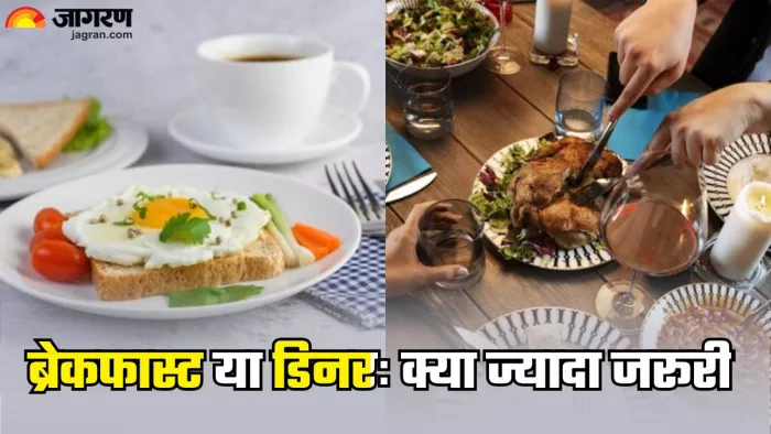 डिनर या ब्रेकफास्ट क्या स्किप करना है ज्यादा बेहतर (Picture Credit- Freepik)