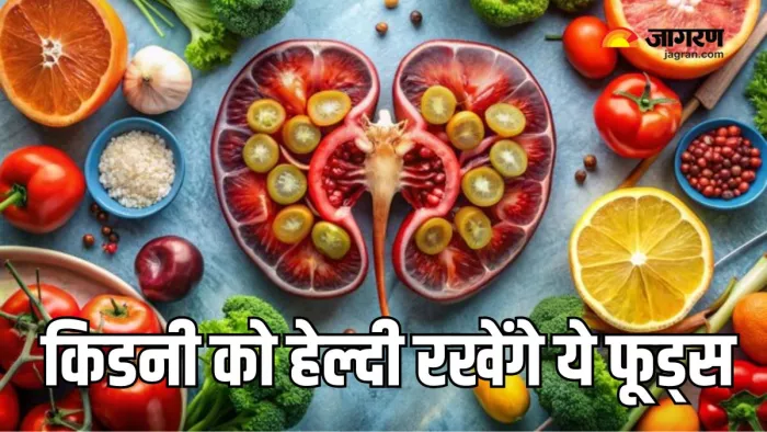 हेल्दी Kidneys के लिए खाएं ये 5 फूड्स (Picture Courtesy: AI Generated/ Freepik)