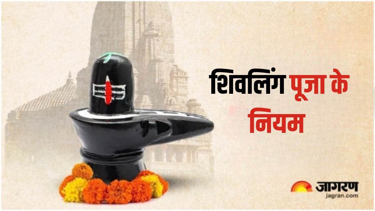 News Article Hero Image