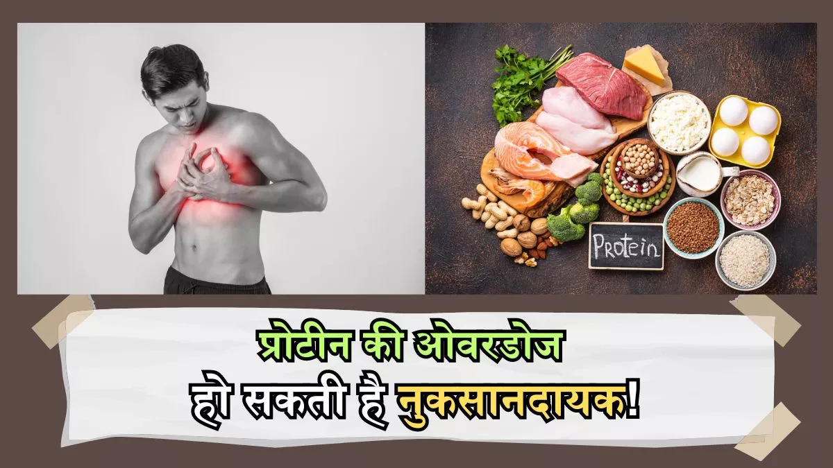 Protein Diet: प्रोटीन की ओवरडोज से हो सकती है दिल की बीमारी! कहीं आप भी तो नहीं कर रहे अपनी डाइट में ये गलती?