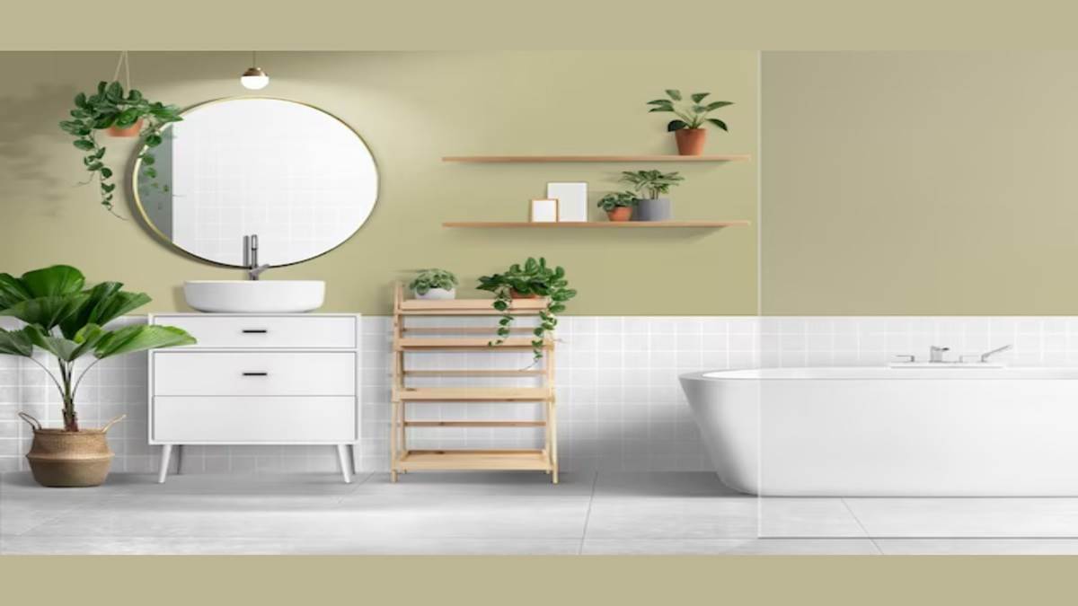 https://www.jagranimages.com/images/newimg/20022024/20_02_2024-bathroom_cabinet_with_mirror_23657165.jpg