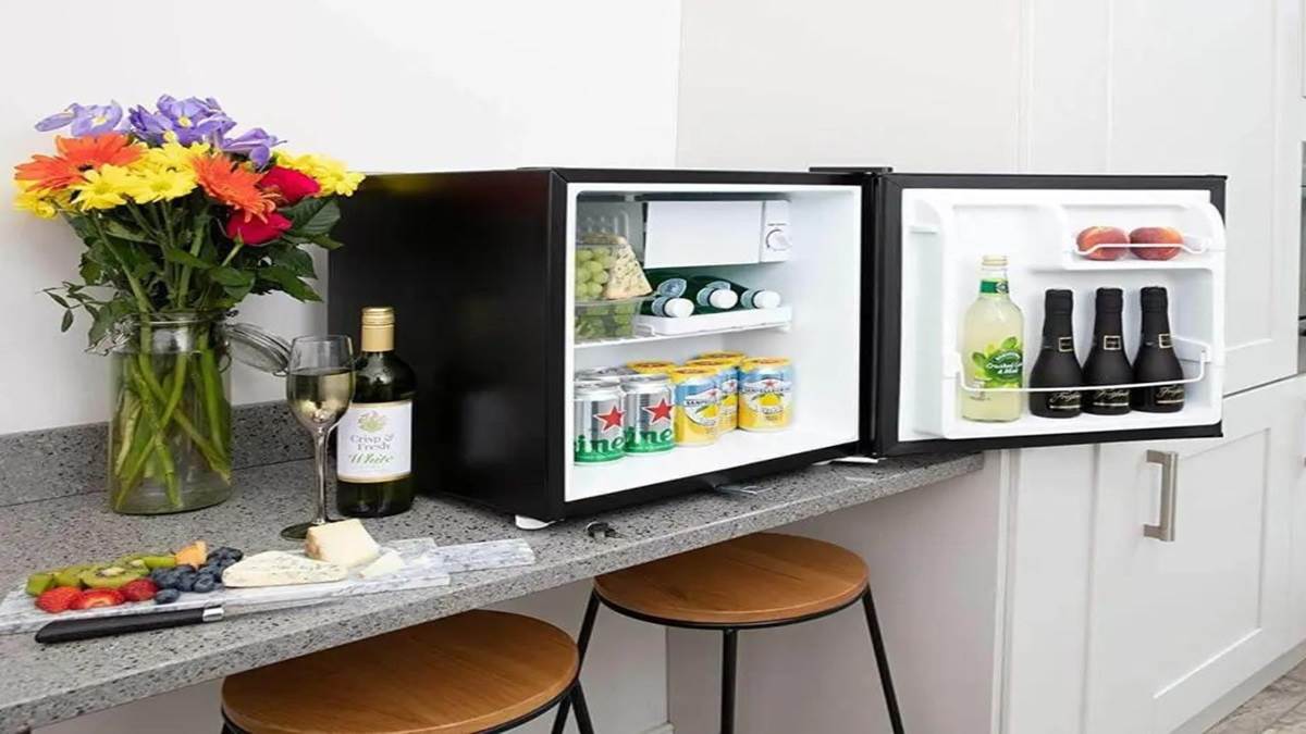 https://www.jagranimages.com/images/newimg/20022024/20_02_2024-best_mini_fridge_23657406.jpg