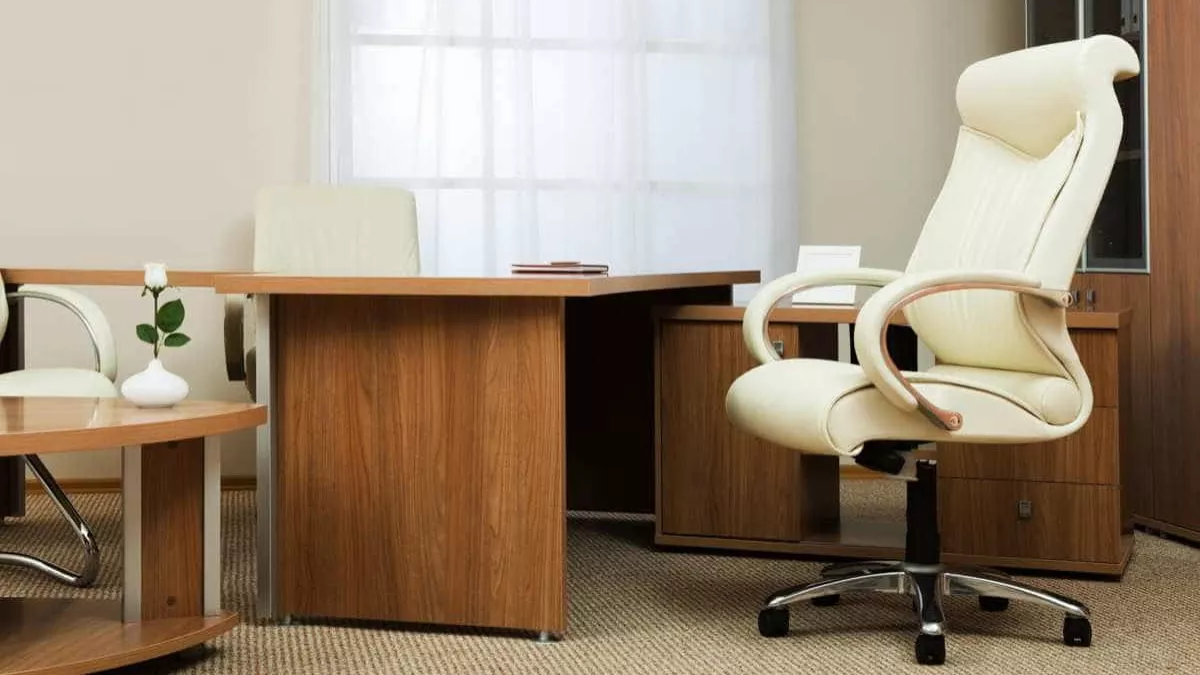 Green Soul की इन Office Chairs पर एक बार बैठे तो उठने का नहीं करेगा मन, काम होगा ऐसी फुर्ती से! बॉस होंगे खुश