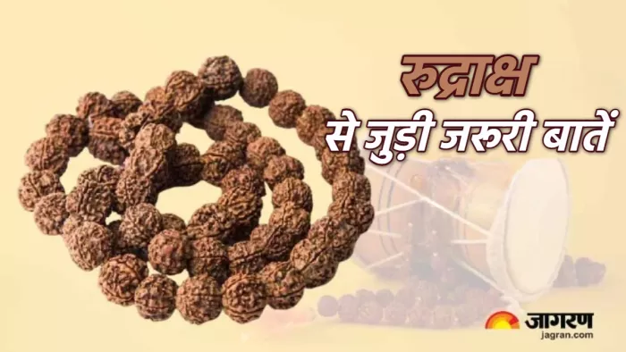Rudraksha Niyam जान लें रुद्राक्ष से जुड़ी ये बातें।