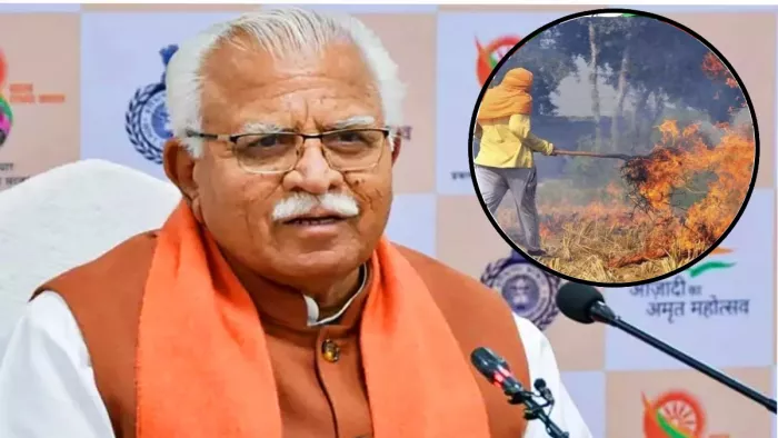 2027 तक पराली जलाने से मुक्त राज्य बनाने का लक्ष्य (फाइल फोटो)।
