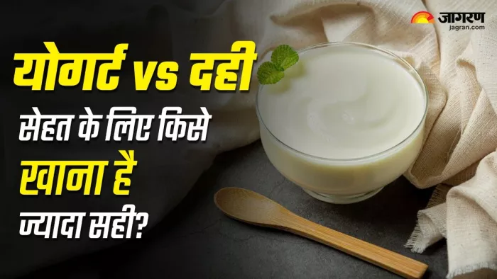 योगर्ट और दही में से क्या खाना है ज्यादा बेहतर?