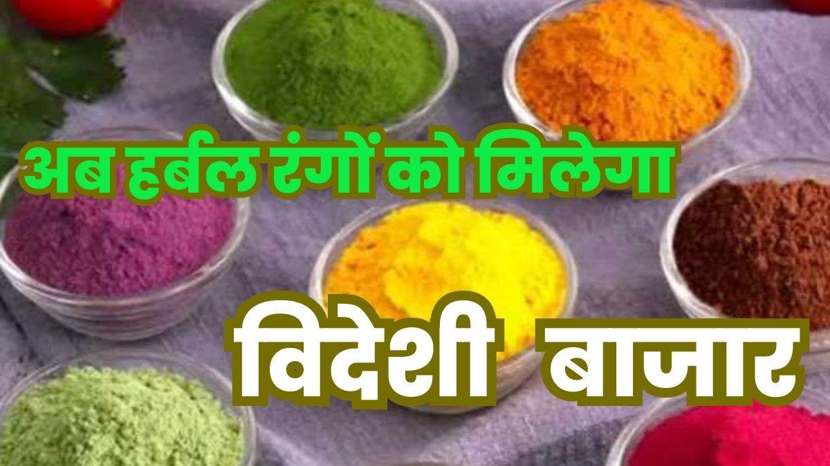 herbal colors of prayagraj will leave a mark in europe european countries do not like chemical colors