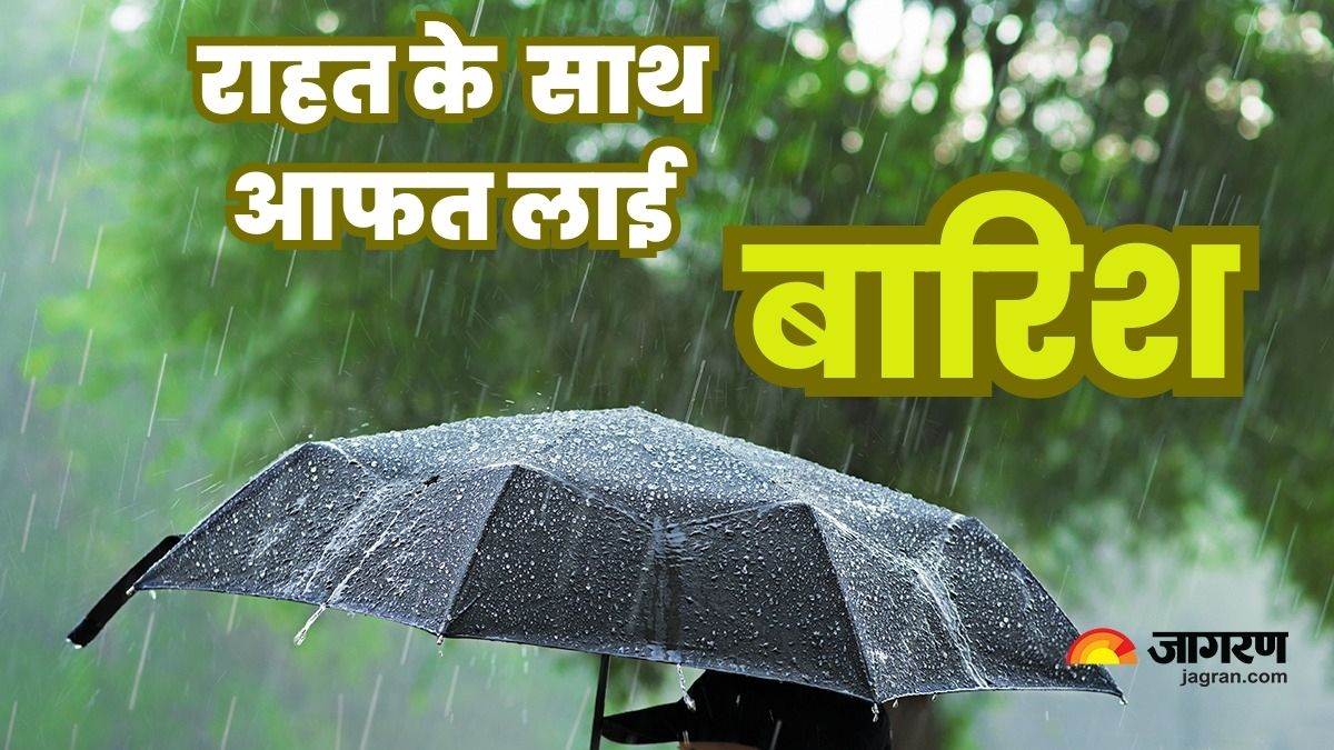 News Article Hero Image