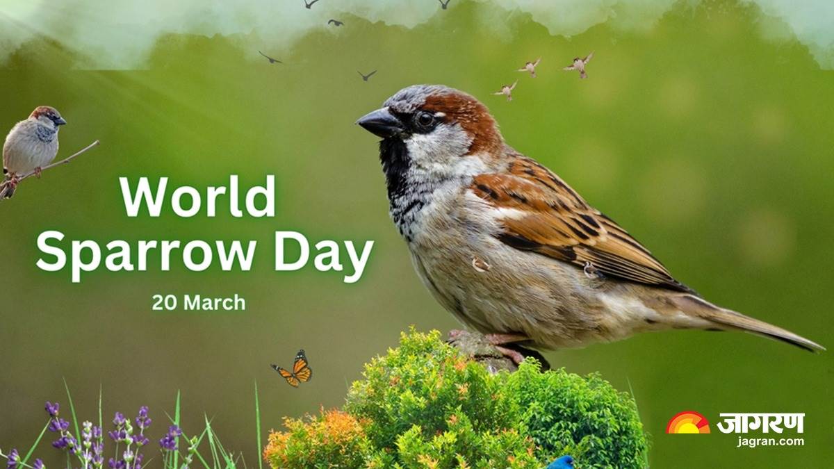 World Sparrow Day 2023 किस उद्देश्य के साथ मनाया जाता है विश्व गौरैया
