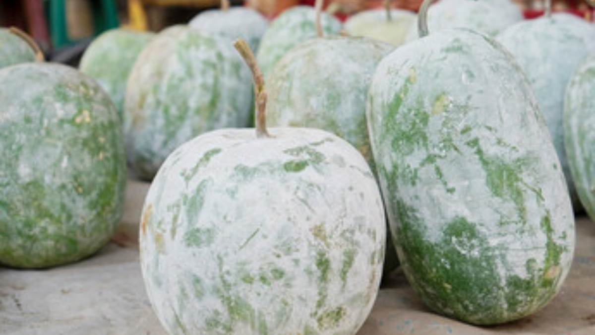 https://www.jagranimages.com/images/newimg/20032024/20_03_2024-ash_gourd_23678748.jpg