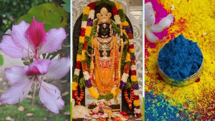 कचनार के फूलों से बने गुलाल से होली खेलेंगे रामलला