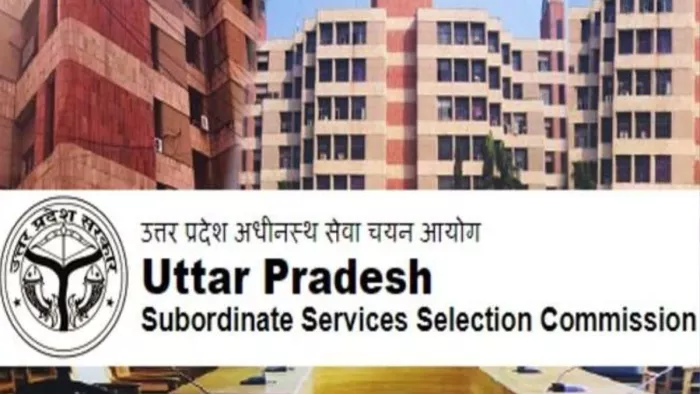 UP News: 2384 अभ्यर्थियों को प्राविधिक सहायक ग्रुप-सी मुख्य परीक्षा में सीधे मिलेगा प्रवेश, UPSSSC ने जारी की सूची