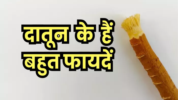 नीम की दातून करने से दांत चमकदार रहते हैं। ( Pic Courtesy : Freepik)