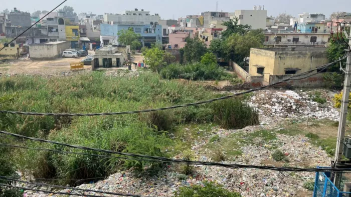 जंगली घास व कूड़े से पटा पड़ा है बवाना का तालाब l जागरण