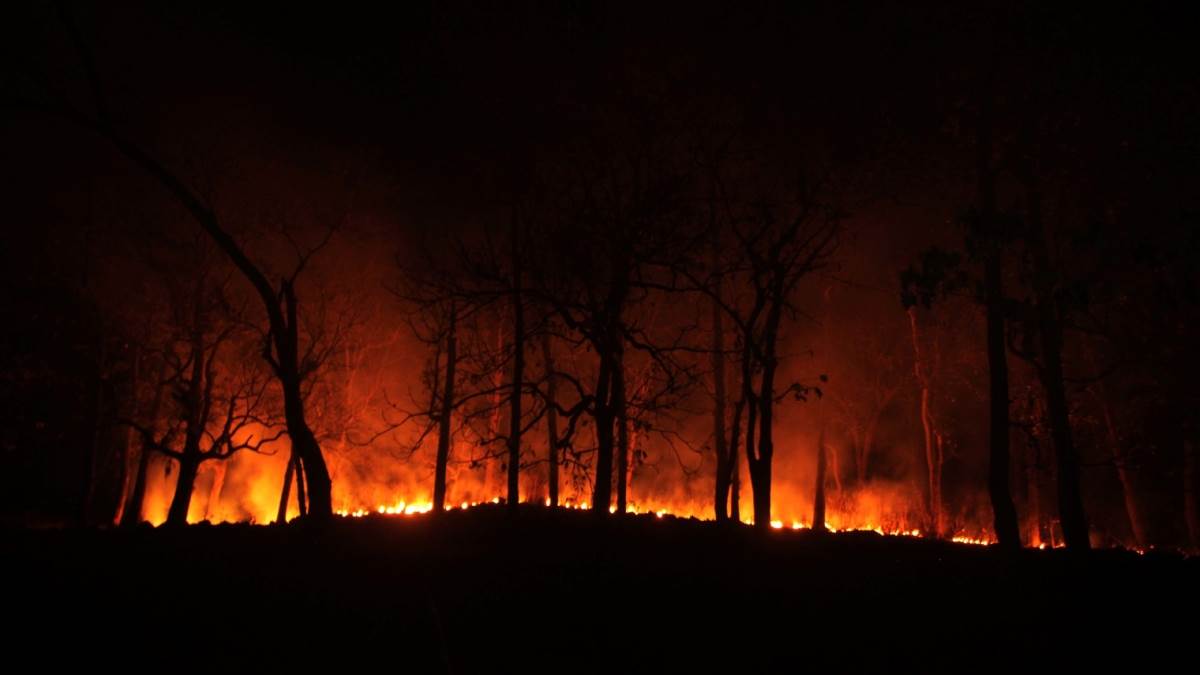 chhattisgarh ramgarh hills ablaze for a week ancient kalidasa theatre at risk