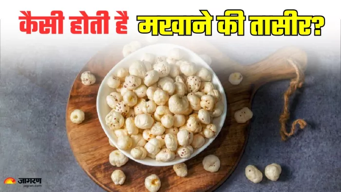 मखाने में छिपा है सेहत का राज। (Image Credit- Freepik)