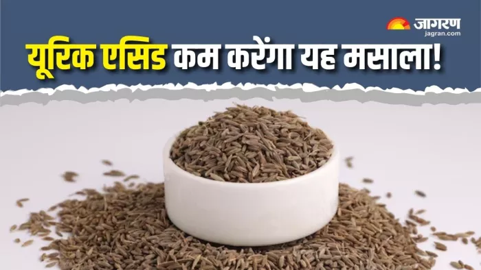 Jeera for Uric Acid: यूरिक एसिड घटाने में फायदेमंद है जीरा (Picture Courtesy: Freepik)