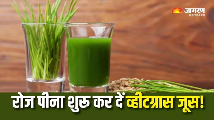 Wheatgrass Benefits: वजन कम करने से लेकर इम्युनिटी बढ़ाने में फायदेमंद है व्हीटग्रास जूस (Picture Courtesy: Freepik)