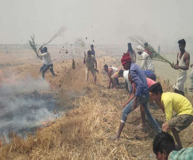100 acres of wheat crop burnt to ashes in santakbir nagar