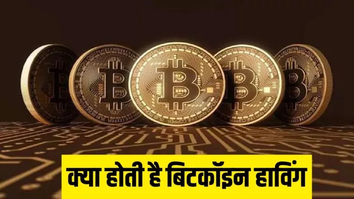 हाविंग इवेंट का मकसद नए बिटकॉइन बनाने की रफ्तार को कम करना है।