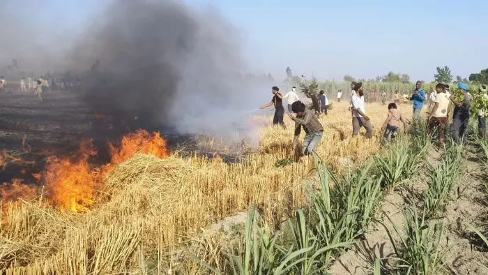 Haryana Farmers: ओले या बारिश ही नहीं आग भी बरसा रही किसानों पर आफत