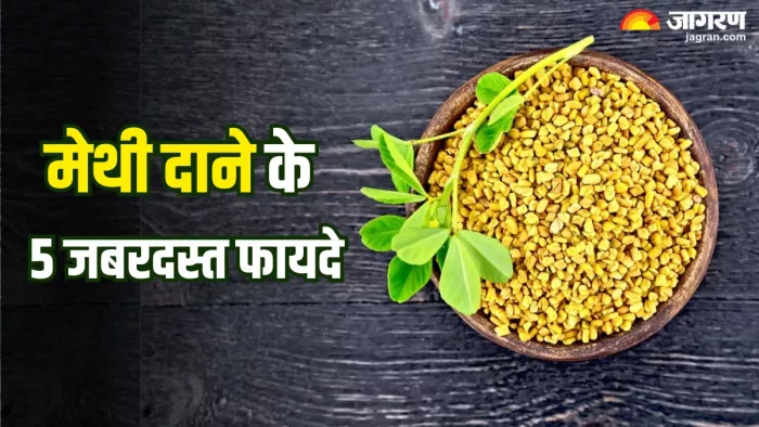 Benefits of Fenugreek Seeds: मेथी दाने में होता है कई पोषक तत्वों का भंडार