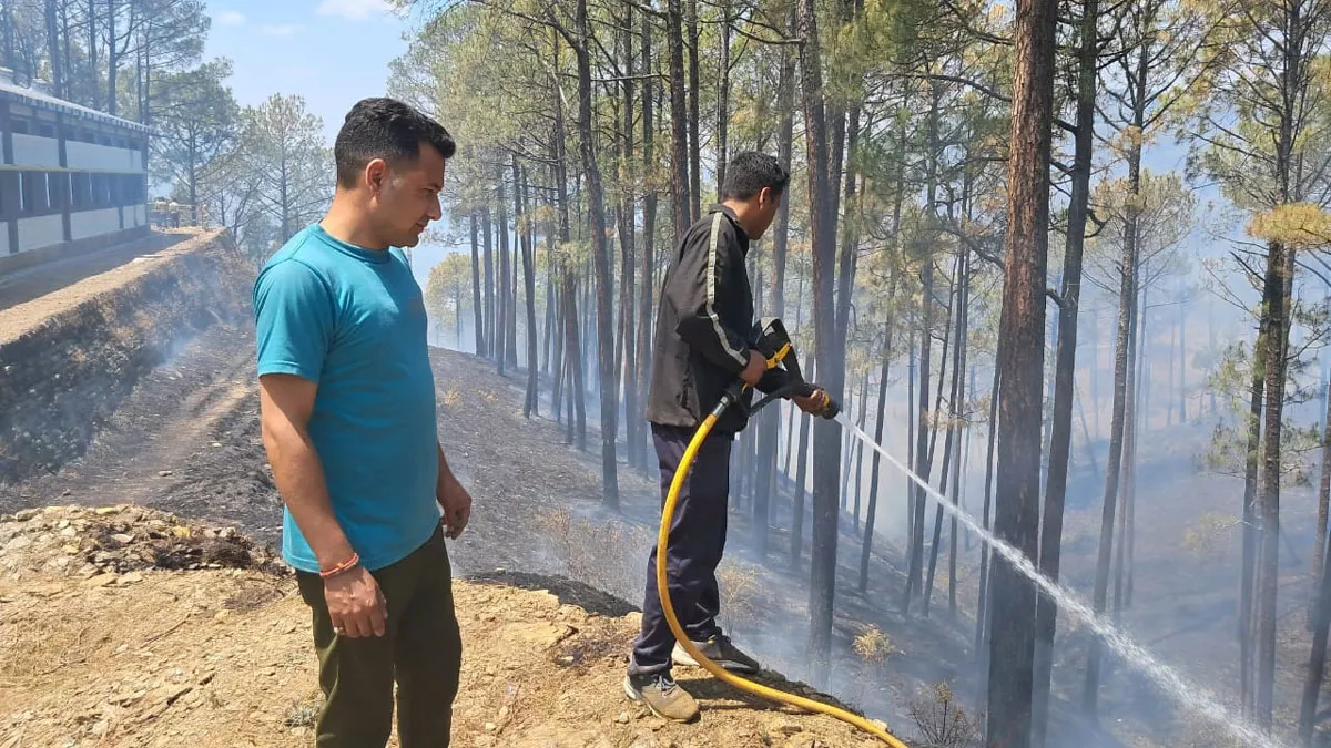 Forest Fire: अल्‍मोड़ा में लोकसभा चुनाव के लिए बना गए स्ट्रांग रूम के पास पहुंची जंगल की आग, दहशत
