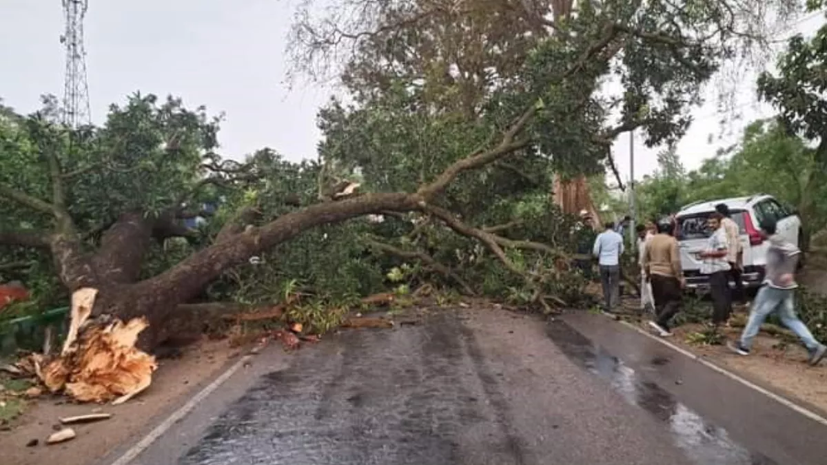 Himachal Weather Update: हिमाचल में आंधी-बरसात से बढ़ी मुश्किल, सड़कों पर गिरे पेड़; किसानों पर भी आफत
