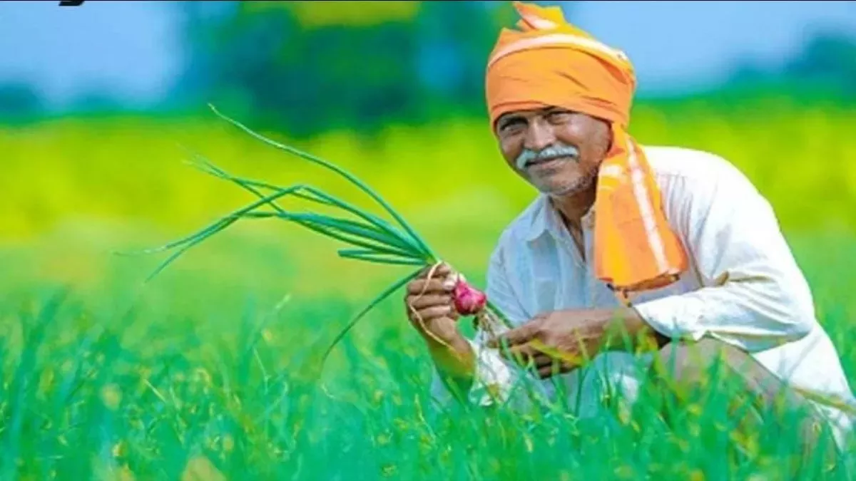 Bihar News: चुनाव से पहले बिहार के किसानों को मिल गई एक और खुशखबरी! मोदी सरकार  ने लिया अहम फैसला - Before assembly elections Bihar farmers got another  good news Modi government
