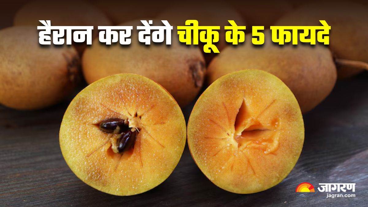 https://www.jagranimages.com/images/newimg/20042025/20_04_2025-chikoo_health_benefits_23922354.jpg
