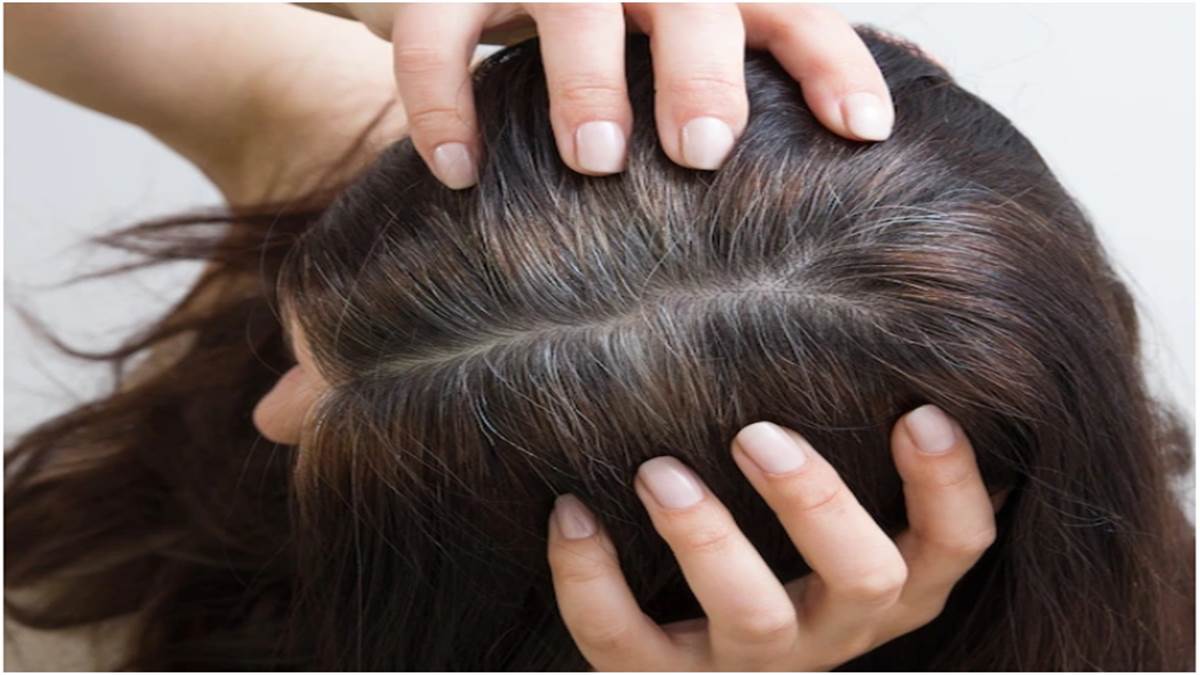 White Hair Remedies: सफेद बालों की समस्या को झट से दूर करेंगे ये 3 घरेलू उपाय - White Hair Remedies: 3 Home Remedies To Get Rid Of White Hair Fast White Hair Remedies: सफेद बालों की समस्या को झट से दूर करेंगे ये 3 घरेलू उपाय - White Hair Remedies: 3 Home Remedies To Get Rid Of White Hair Fast