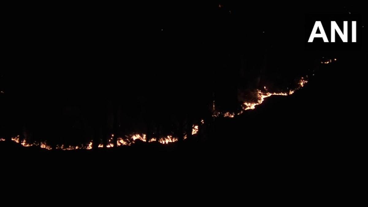 उधमपुर जिले के मरगना वन क्षेत्र में जंगल में लगी आग। (फाइल फोटो)