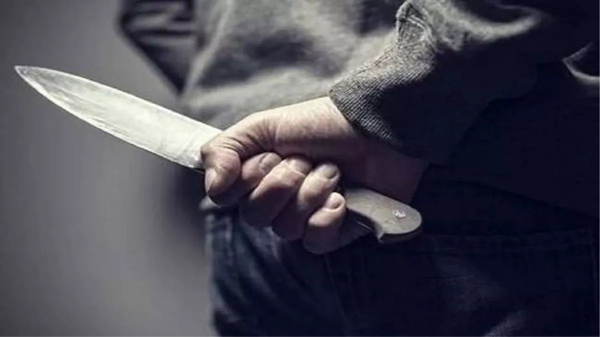 Norway Knife Attack: नॉर्वे में एक शख्स ने चार लोगों पर चाकू से किया हमला, पुलिस ने अपराधी को दबोचा