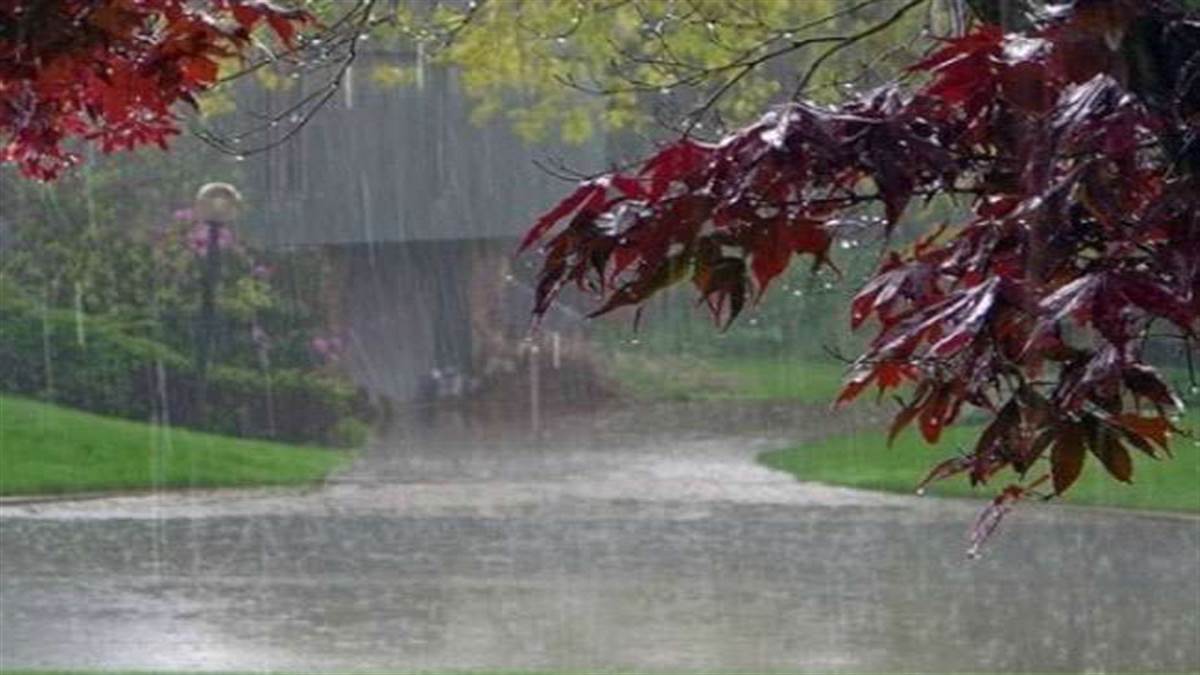 https://www.jagranimages.com/images/newimg/20052022/20_05_2022-odisha_monsoon_news_22728517_12478869.jpg