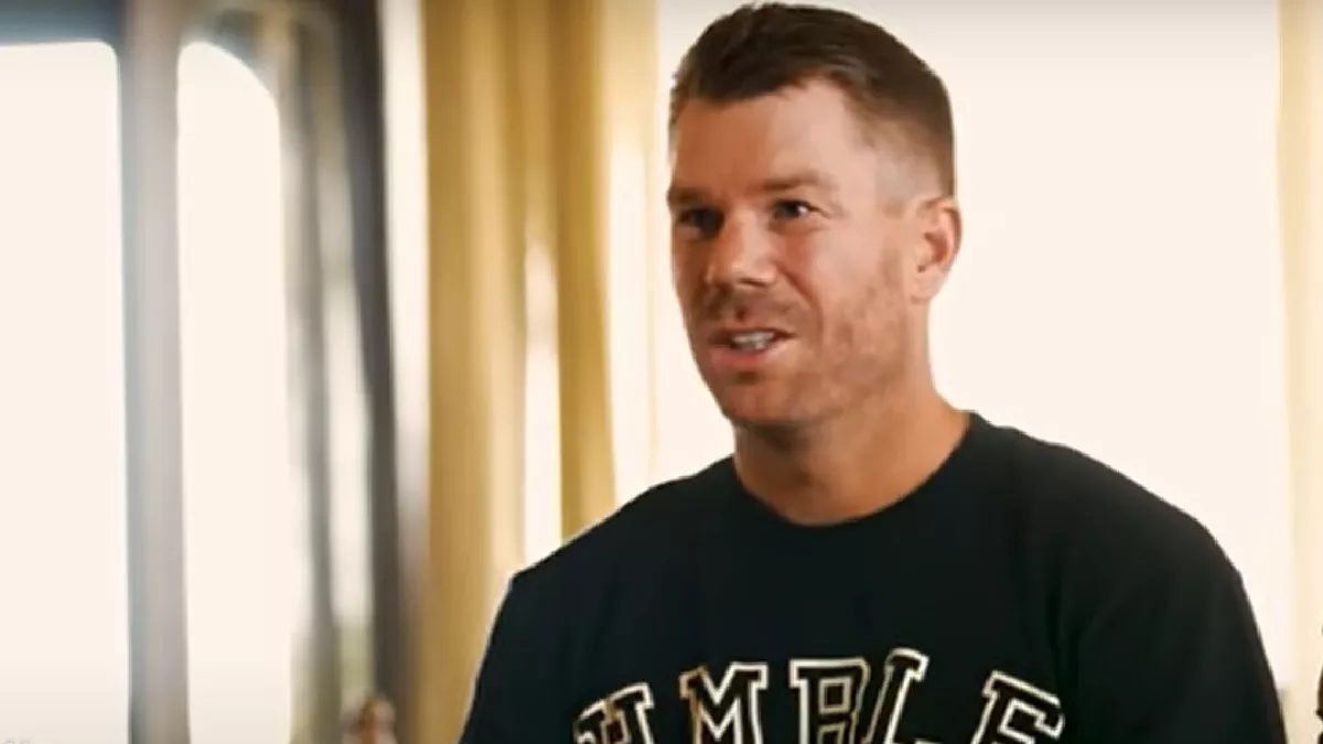 david warner wants play bad guy in telugu movie
