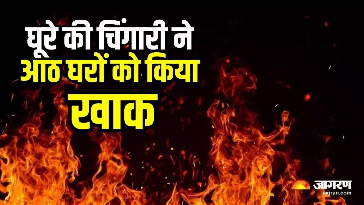Kannauj: आग ने डेढ़ घंटे में आठ घरों को जलाकर किया खाक, 21 मवेशी जिंदा जले