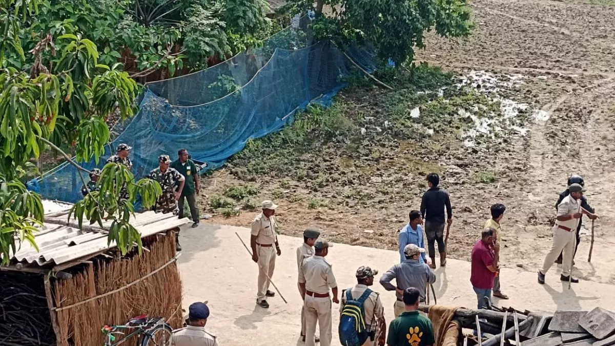 नरकटियागंज जंगल से निकलकर घर में घुसा बाघ भगदड़ के बीच वन विभाग की टीम  पहुंची घेराबंदी कर रेस्क्यू जारी - Tiger entered in residential area from  Valmiki Tiger Reserve ...