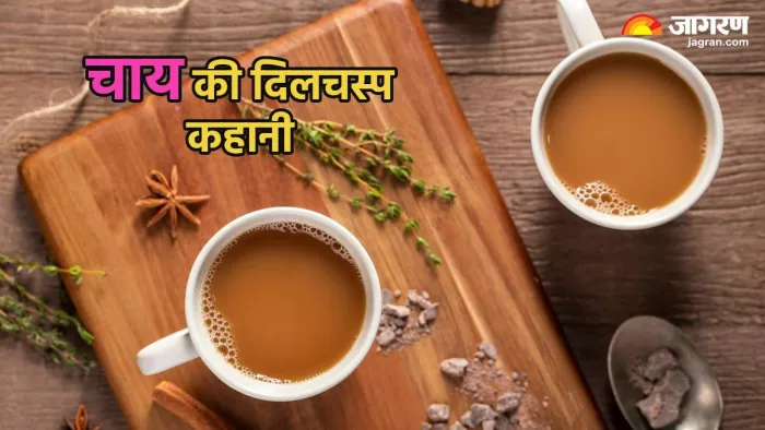 चाय का इतिहास और चाय के प्रकार (Pic credit- freepik)