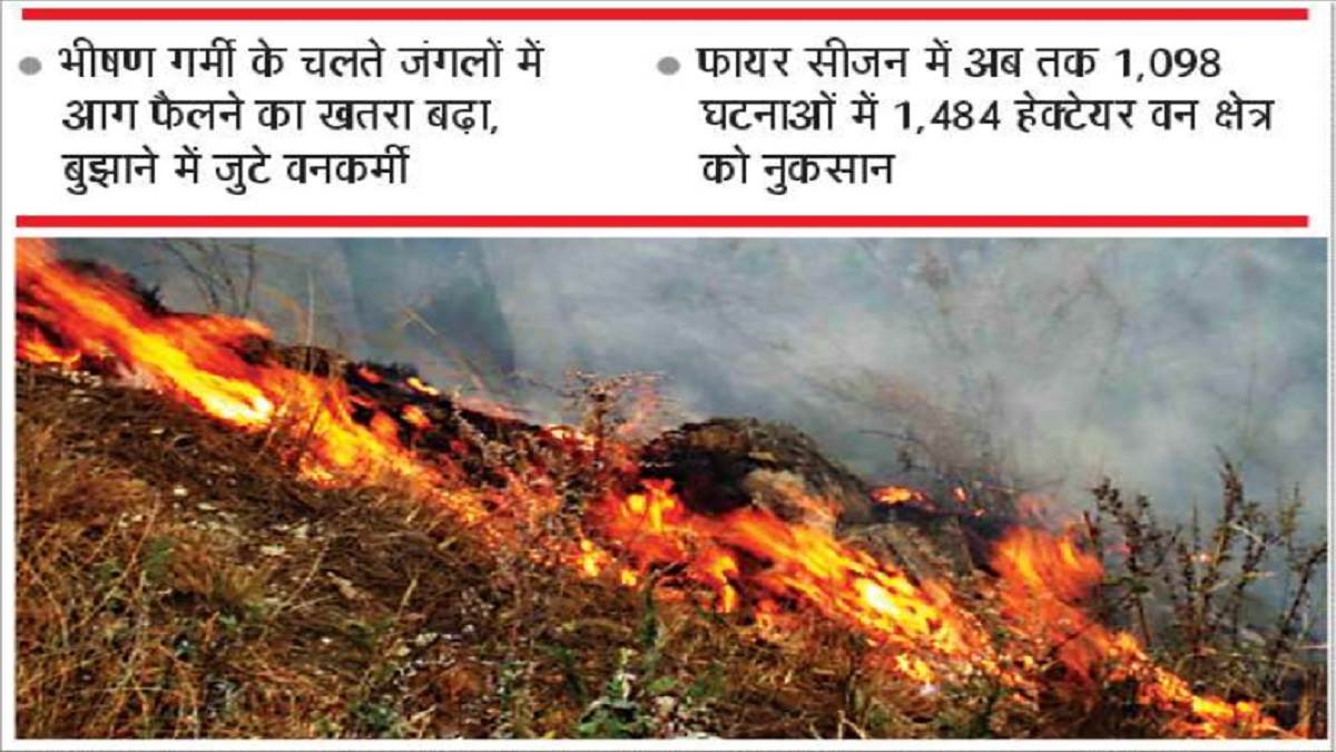 https://www.jagranimages.com/images/newimg/20052024/20_05_2024-forest_fire_23721314.jpg