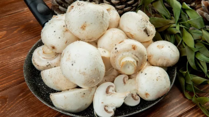 Mushroom न खाकर अपनी सेहत के साथ गलत कर रहे हैं आप! आज ही इसे अपनी डाइट