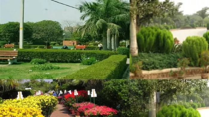 युवक पैंट उतारकर अश्लील हरकतें करता है और भाग जाता है। फाइल फोटो