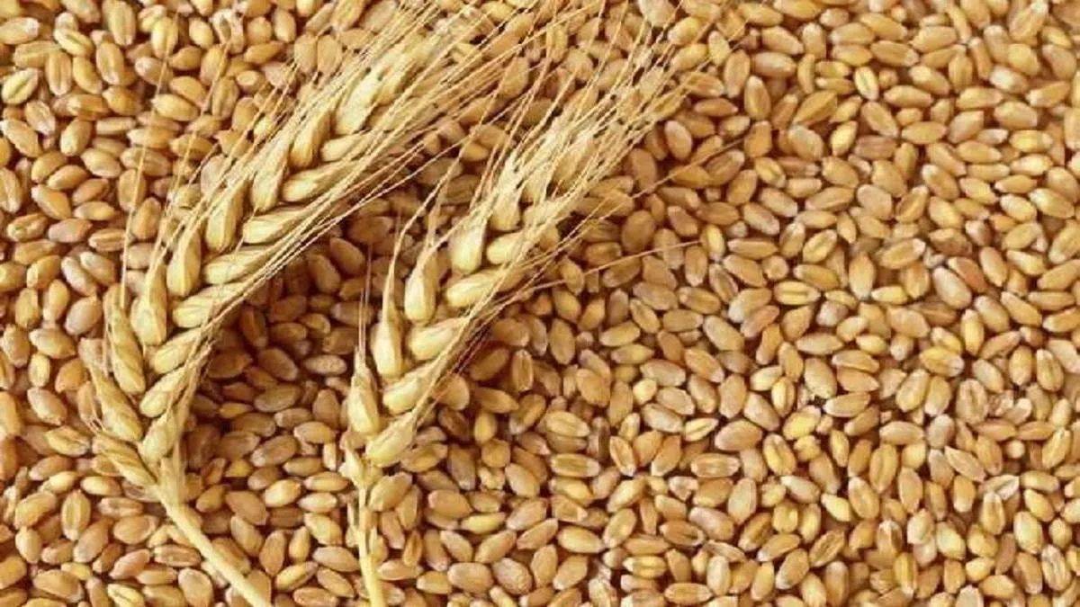 farrukhabad dm displeased with slow wheat procurement center in charge to face action