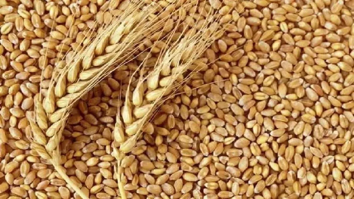UP News: गेहूं खरीद में सुस्ती पर डीएम ने जताई नाराजगी, केंद्र प्रभारी होंगे दंडित