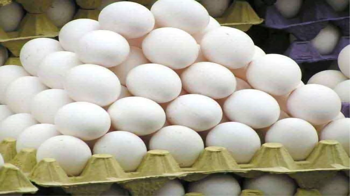 Egg Price in Ludhiana: भीषण गर्मी में अंडा दिखाने लगा तेवर; 472 रुपये प्रति सैकड़ा पहुंचे दाम