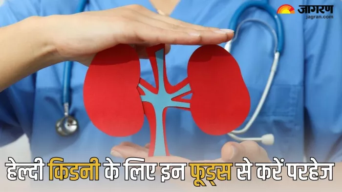 Chronic Kidney Disease में न खाएं ये फूड्स (Picture Credit- Freepik)