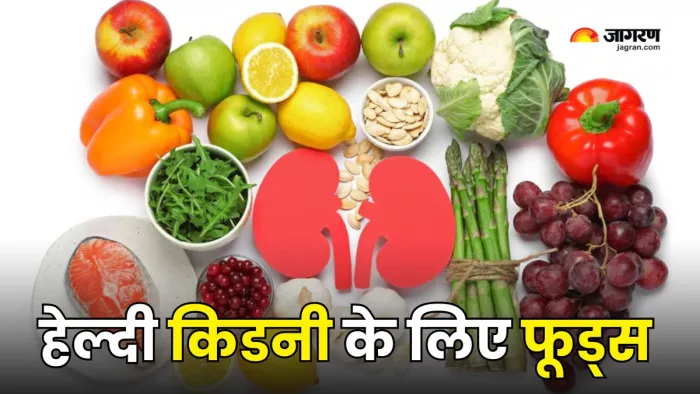 Kidney को स्वस्थ रखने के लिए डाइट में करें सुधार (Picture Courtesy: Freepik)