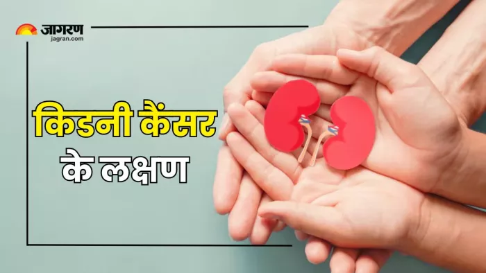 Kidney Cancer Symptoms को पहचानकर बचा सकते हैं जान (Picture Courtesy: Freepik)