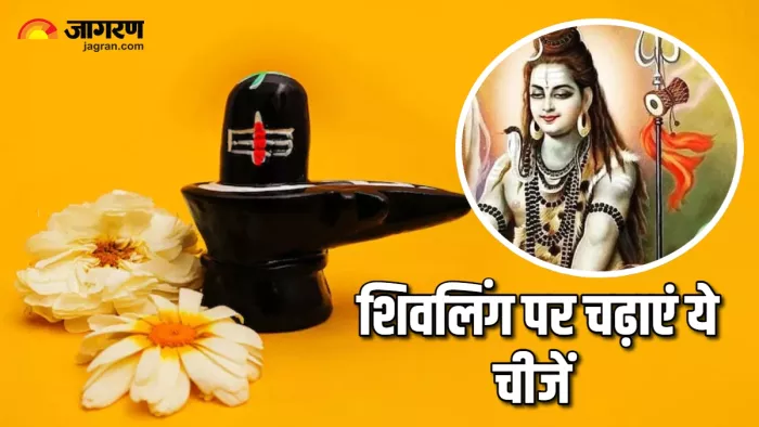 Shivling Puja शिवलिंग पर अर्पित करें ये चीजें।