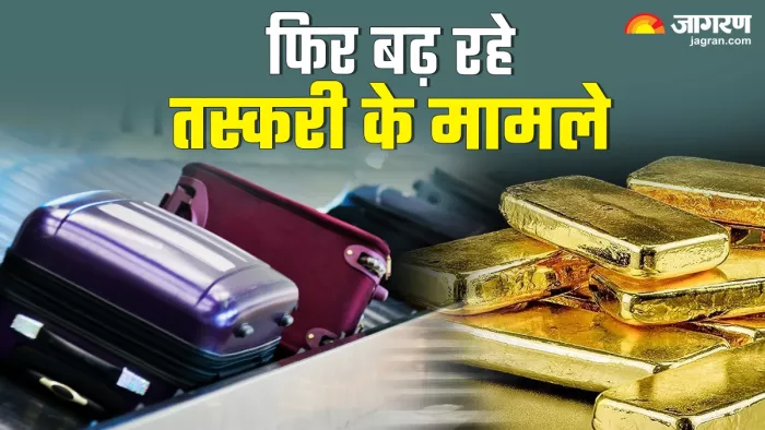 FY24 में बढ़ गए स्मगलिंग के मामले
