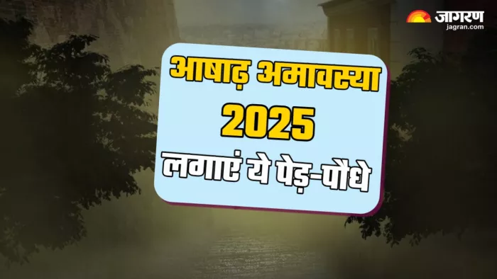 Ashadha Amavasya 2025 कौन -से पेड़-पौधे लगाने चाहिए? (Picture Credit: Freepik)